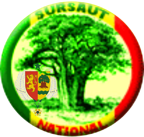 Logo Sursaut National